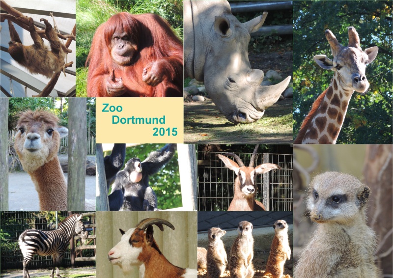 Besuch im Zoo Dortmund