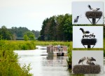 Floßfahrt auf der Stever bei Olfen am 28.06.2018 (freie Plätze!)