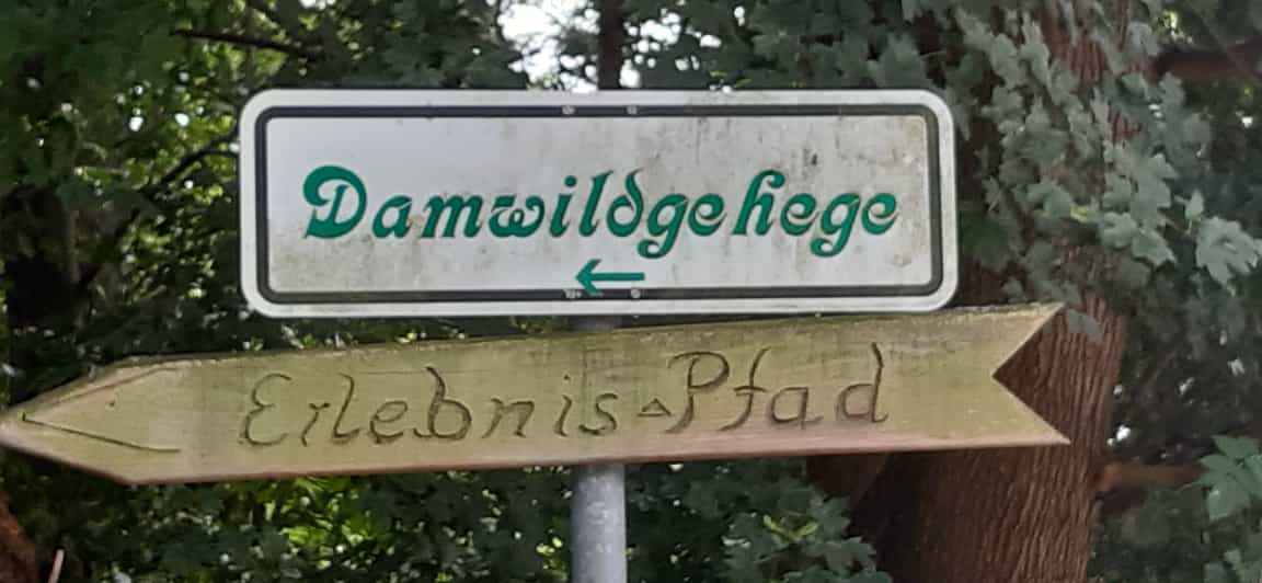 Besuch des Damwildgeheges im Süggelwald