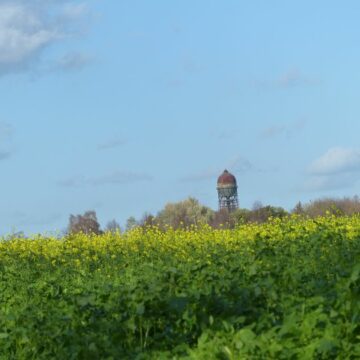Senffeld mit Wasserturm in Lanstrop