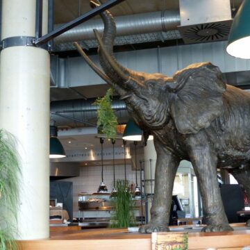 Der Elefant im Cafe