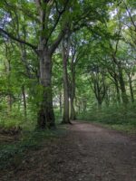 Unser Spaziergang: Durch den Wald zum Freischütz und zurück