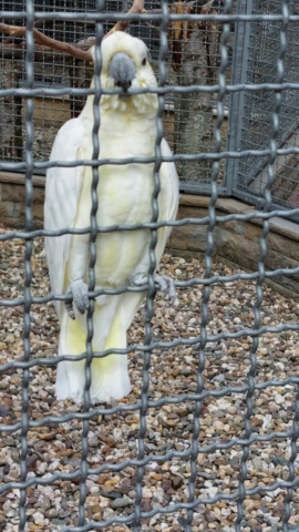 Vogelfreifluganlage